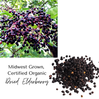 Dried Elderberry, Certified Organic