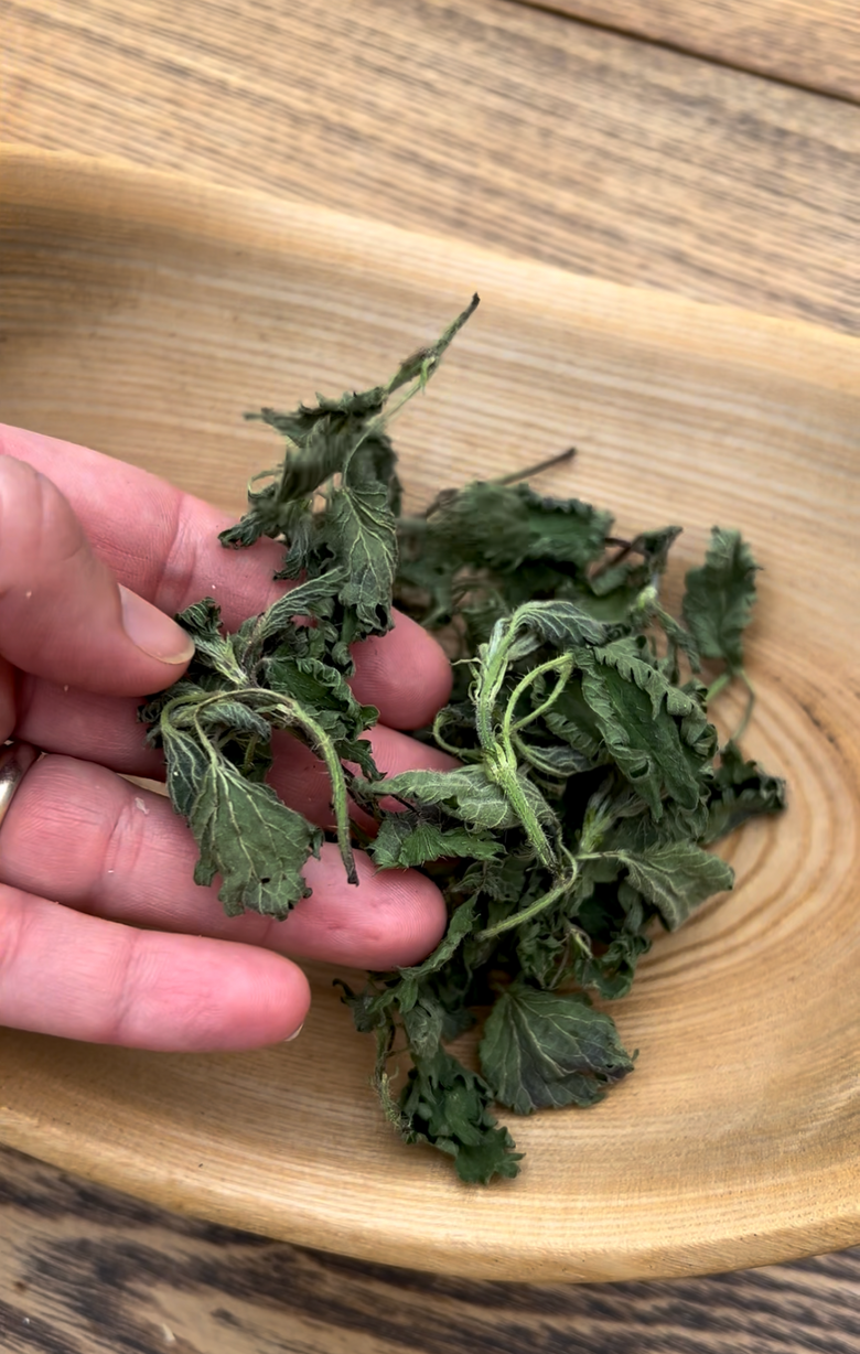 Spring Herbs in Your Backyard: How to Use Dandelion, Nettle, and Plantain to Restore Balance and Support Natural Detox