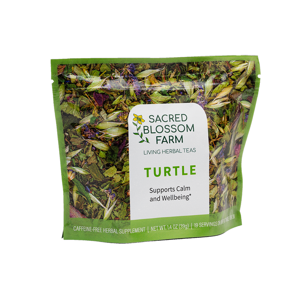 Turtle | Natural Northern