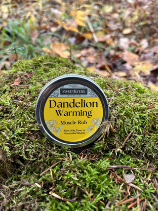 Dandelion Warming Muscle Rub | Herbal Pain Relief Balm | Warming Salve for Sore Muscles