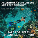 Badger Mineral Daily Sunscreen SPF 30, with Zinc Oxide: 4 fl oz tube