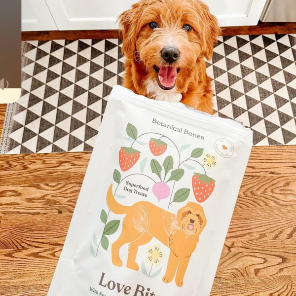 Love Bites  - Dog Treats | Organic | Valentine's Day 💕
