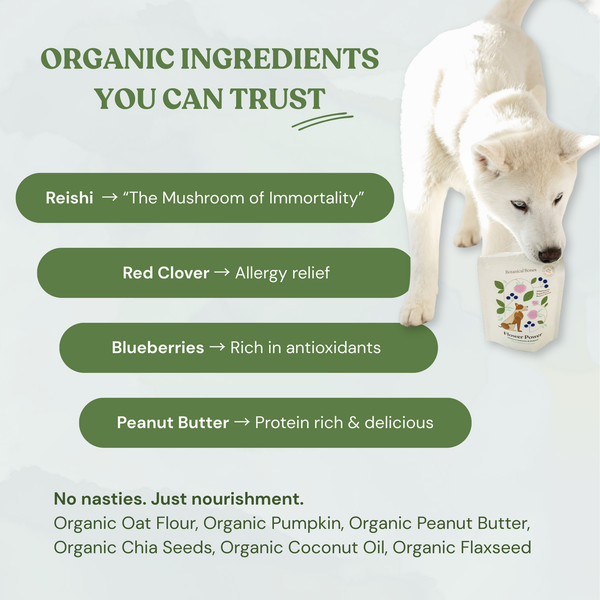 Flower Power Cookies - All Natural, Organic Dog Treats