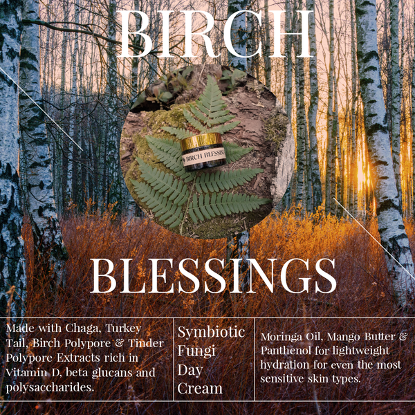 Birch Blessings Symbiotic Facial Cream