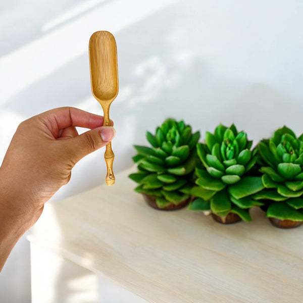 Bamboo Scoops: Long Scoop