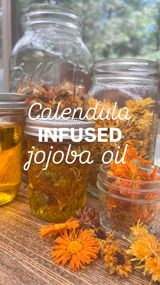 DIY Calendula Infused Jojoba Oil Kit