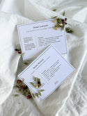 Digestive Herbal Tea | Gut Health & Comfort