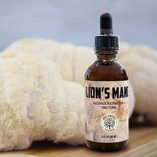 Lion's Mane Tincture - Dual Extraction