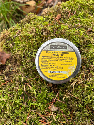 Dandelion Warming Muscle Rub | Herbal Pain Relief Balm | Warming Salve for Sore Muscles