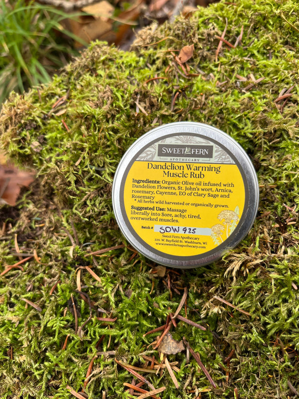 Dandelion Warming Muscle Rub | Herbal Pain Relief Balm | Warming Salve for Sore Muscles
