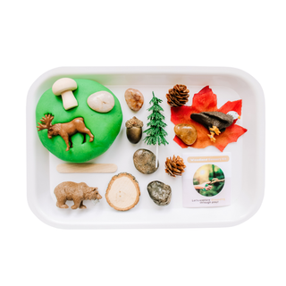 Children's Woodland Sensory Play Dough Kit: Sensory Sand