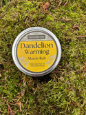 Dandelion Warming Muscle Rub | Herbal Pain Relief Balm | Warming Salve for Sore Muscles