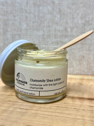 Chamomile Shea Lotion