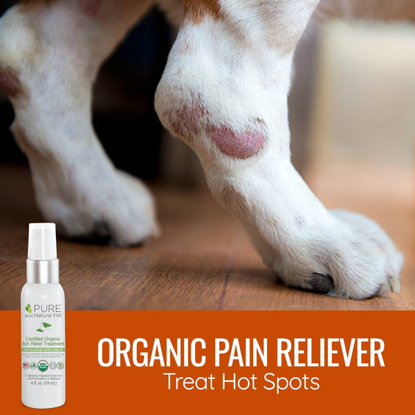 USDA Certified Organic Itch Relief & Hot Spot Oil for Dogs