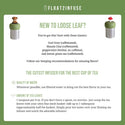 Mushroom Cottage | Floating Tea Steeper | Green Base | Pink