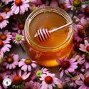 Echinacea Infused Honey: 5oz
