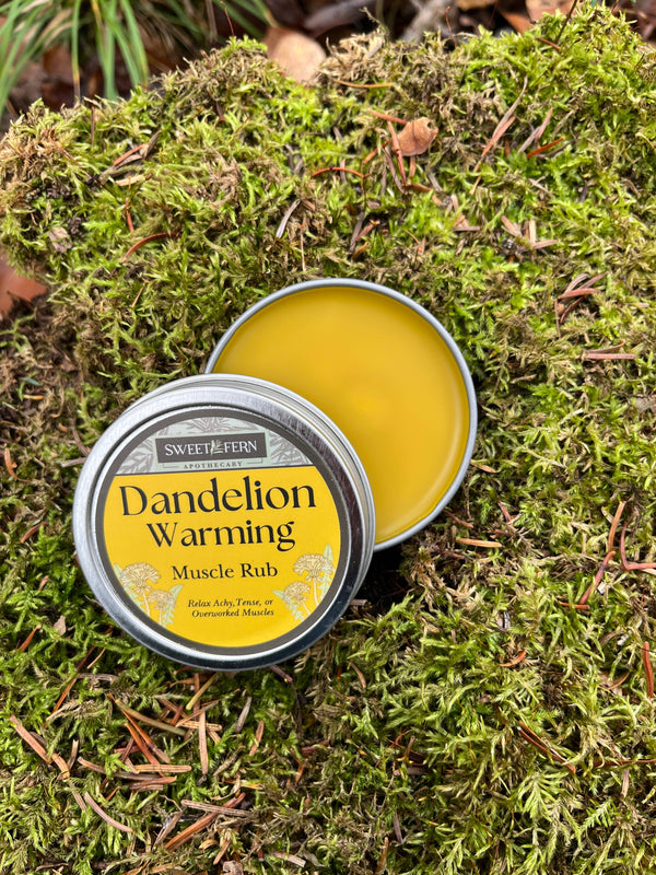 Dandelion Warming Muscle Rub | Herbal Pain Relief Balm | Warming Salve for Sore Muscles