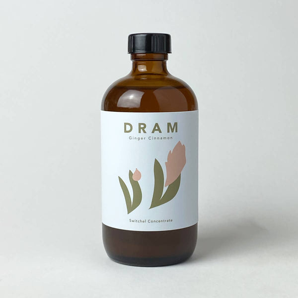 Ginger Cinnamon Apple Cider Vinegar Tonic