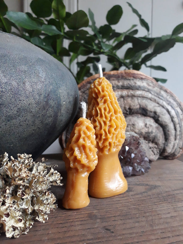Morel Mushroom Beeswax Candles Small: 3”